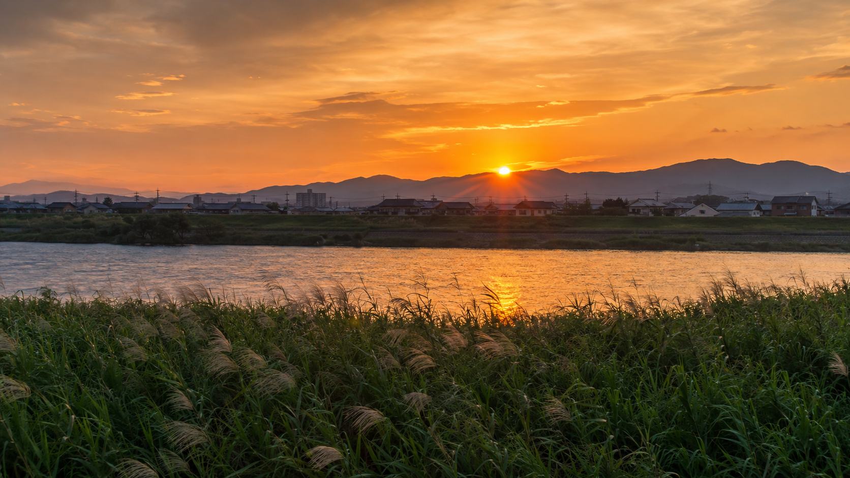 まとめ|夏枯れ相場は静かに枯れ8月に牙をむく