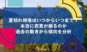 夏枯れ相場はいつからいつまで？本当に売買が細るのか過去の動きから傾向を分析